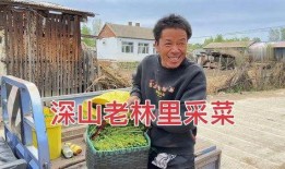 重庆农村老王爆料视频最新,揭秘当地独特风俗与民生现状